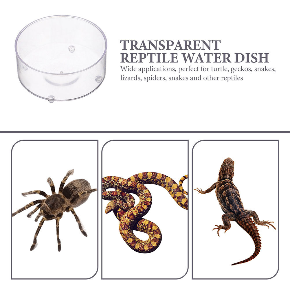 10Pcs Acrylic Reptile Food Dis - Water Dish Reptile のレビューと価格