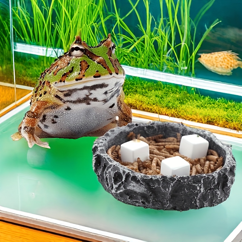 6Pcs For Reptile Grinding Tort - Calcium Powder Reptile のレビューと価格