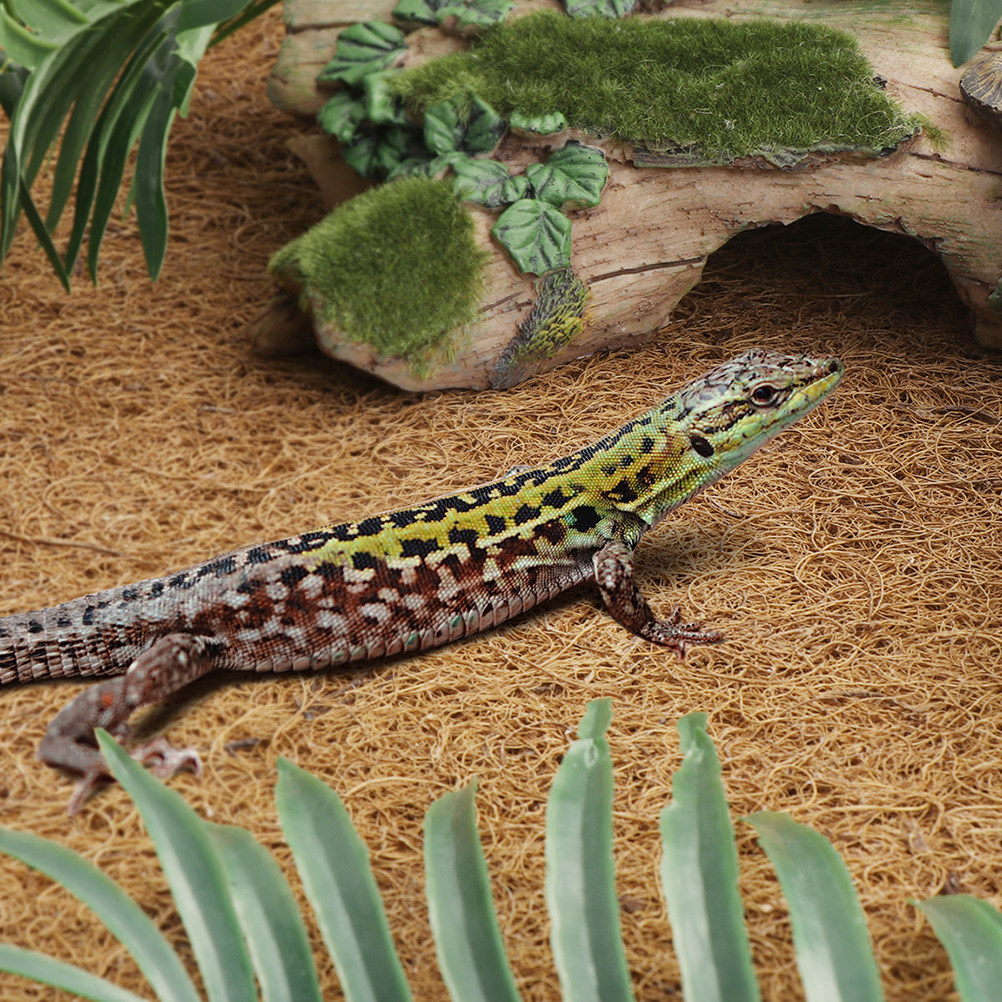Reptile Carpet Natural Coconut - Substrate Coconut Fiber のレビューと価格