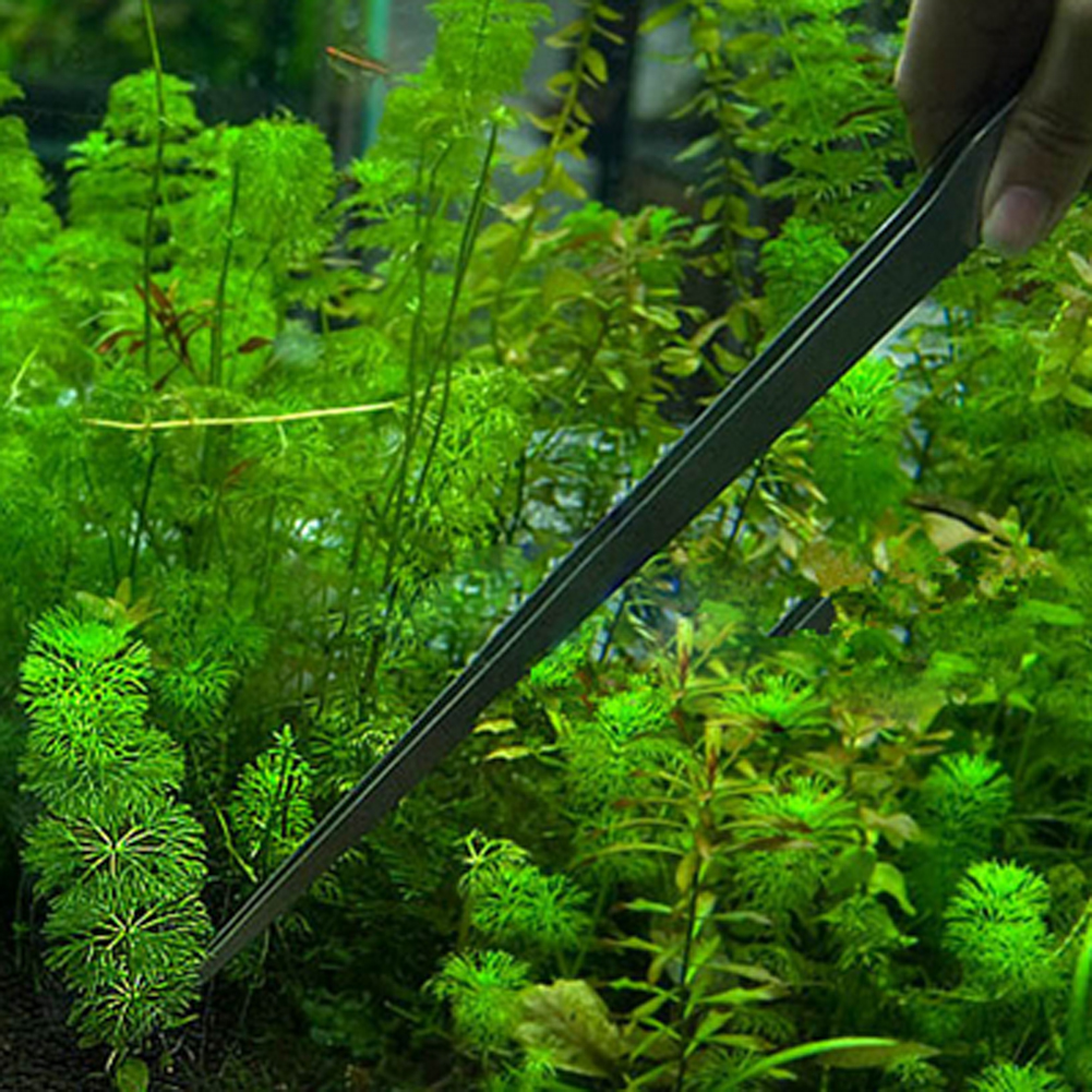 10.5 Inch Aquarium Tweezers St - Feeding Tong Stainless のレビューと価格