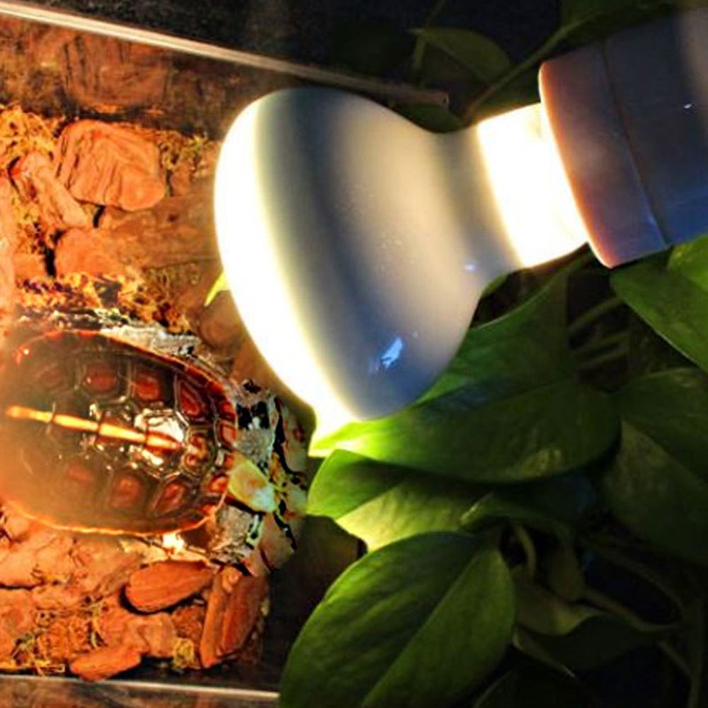 Lizard Heater Temperature Cont - Basking Bulb Halogen のレビューと価格