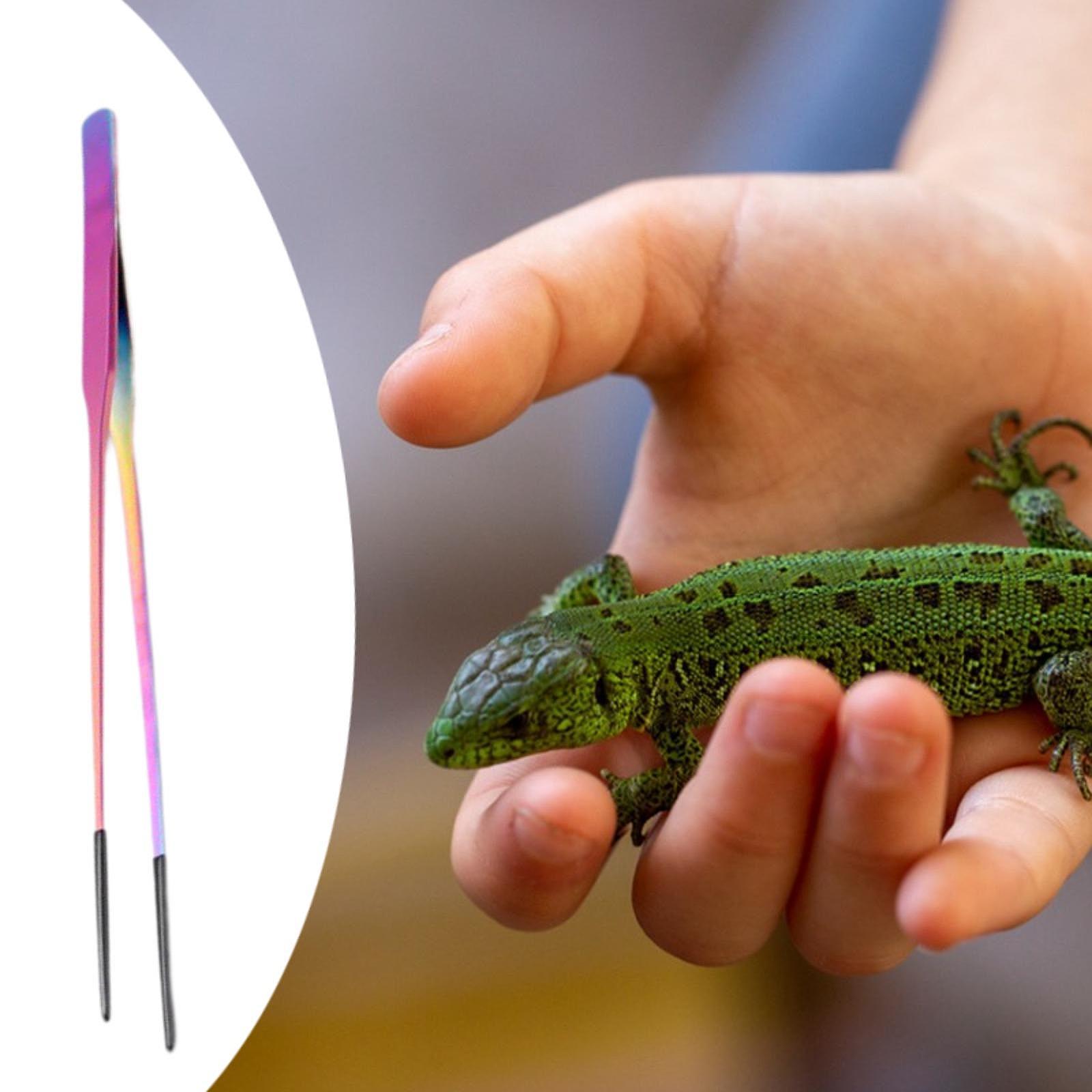 Terrarium Reptile Feeder Tongs - Feeding Tong Stainless のレビューと価格