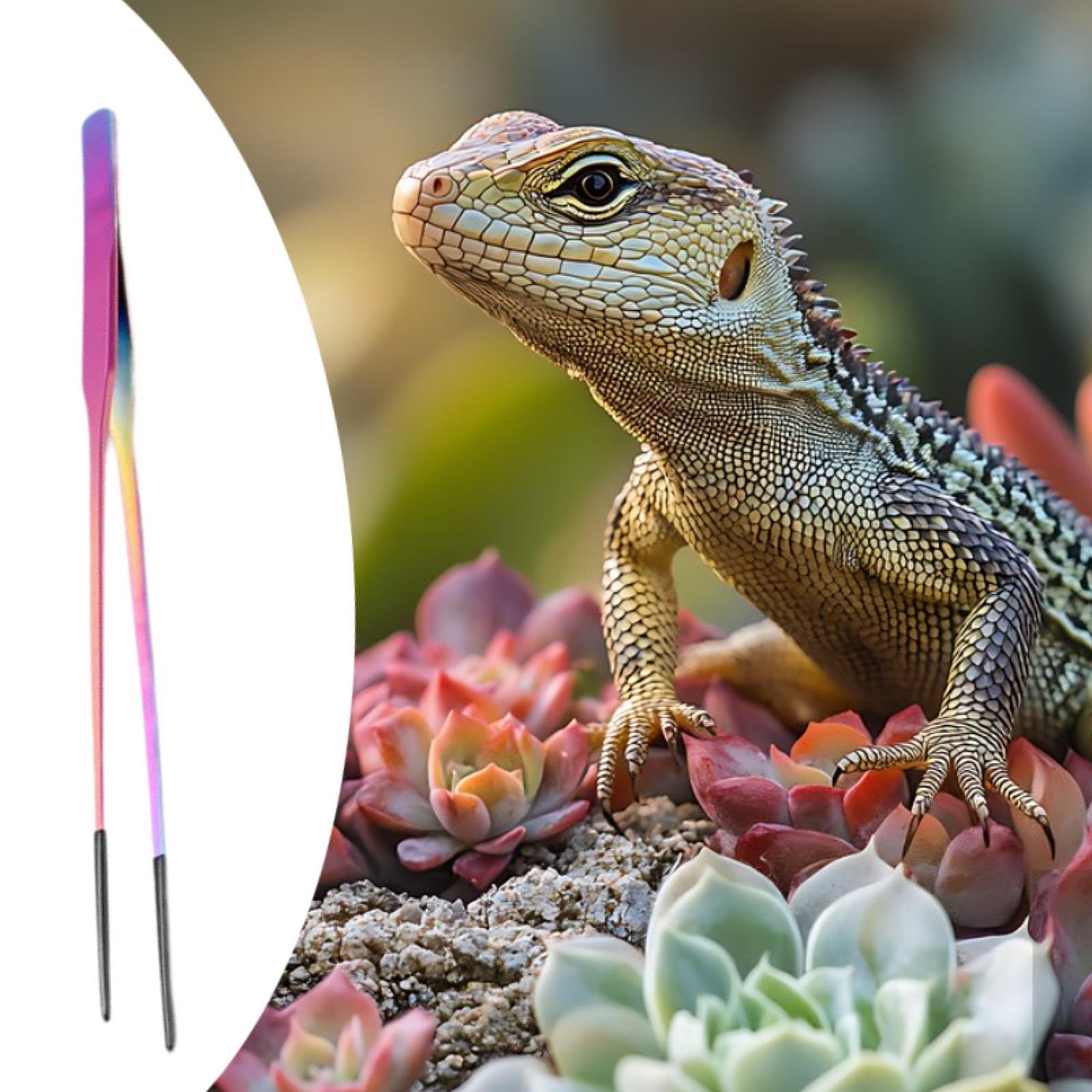 Terrarium Reptile Feeder Tongs - Feeding Tong Stainless のレビューと価格