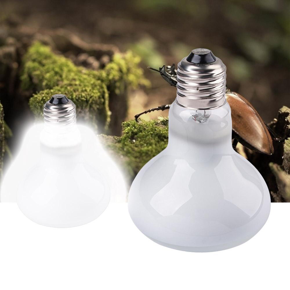 Lizard Temperature Controller  - Basking Bulb Halogen のレビューと価格