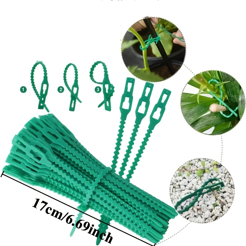 100PCS reusable adjustable pla - Vine Climbing Plastic のレビューと価格