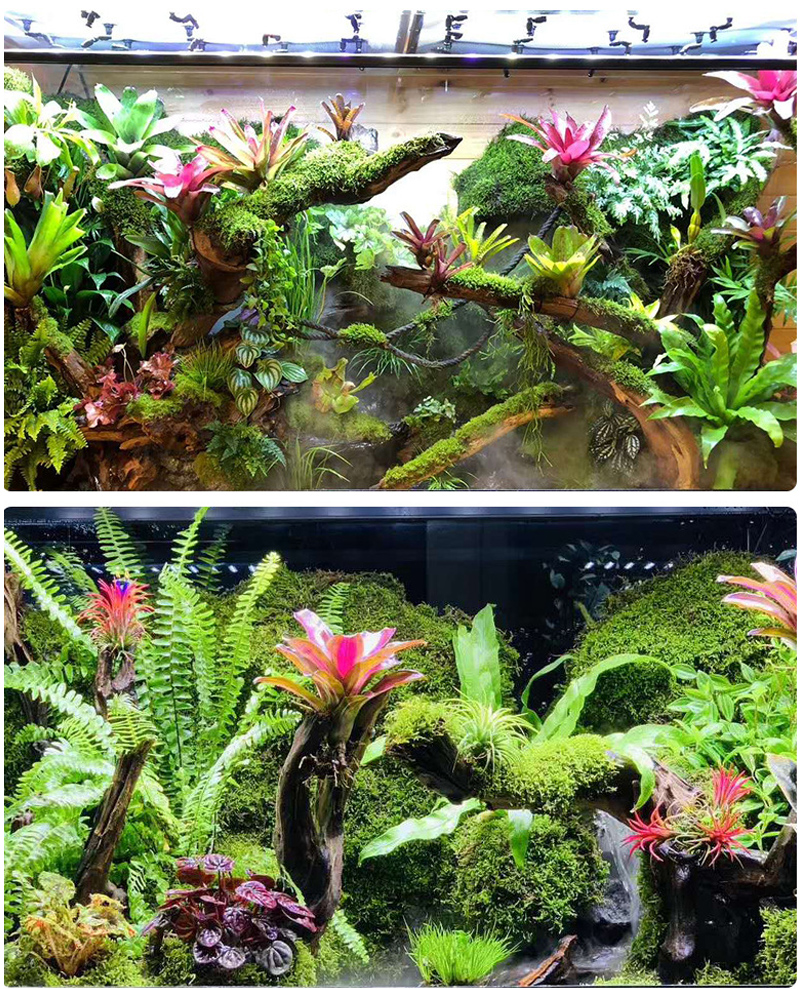 MINI Adjustable Reptile Fogger - Misting Nozzle Reptile のレビューと価格