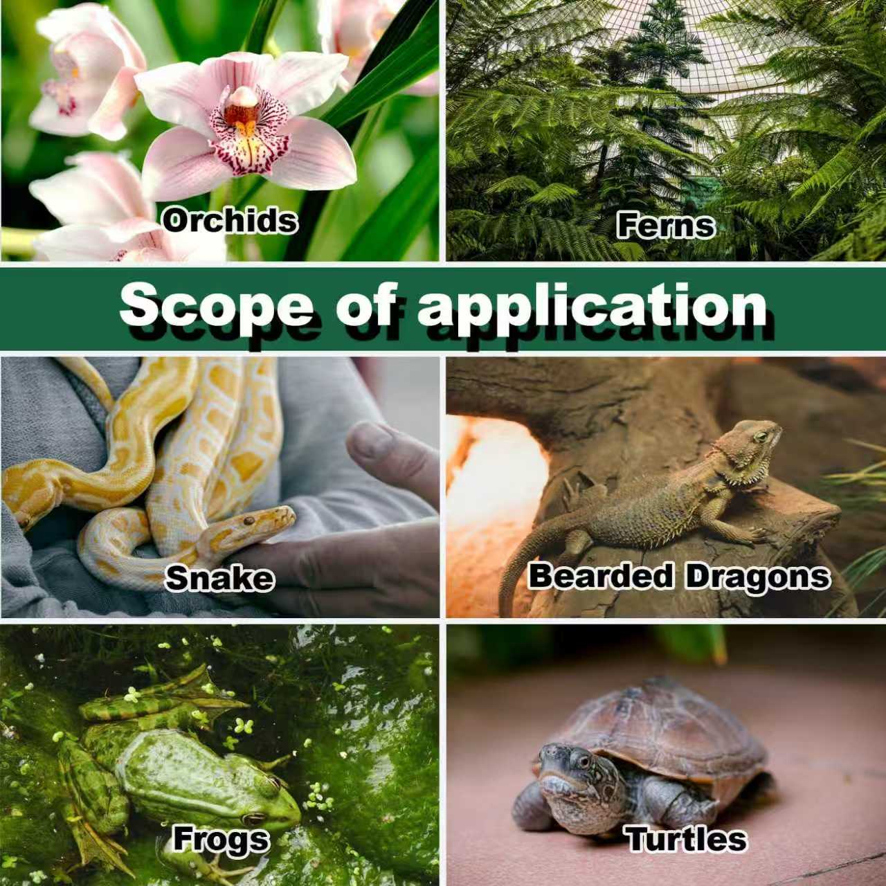 Reptile Humidifier Terrarium F - Terrarium Fogger Ultrasonic のレビューと価格