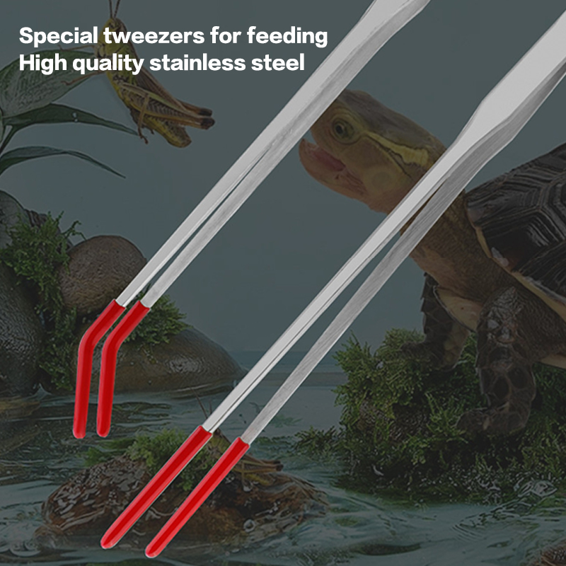 Stainless Steel Reptile Feedin - Feeding Tong Stainless のレビューと価格