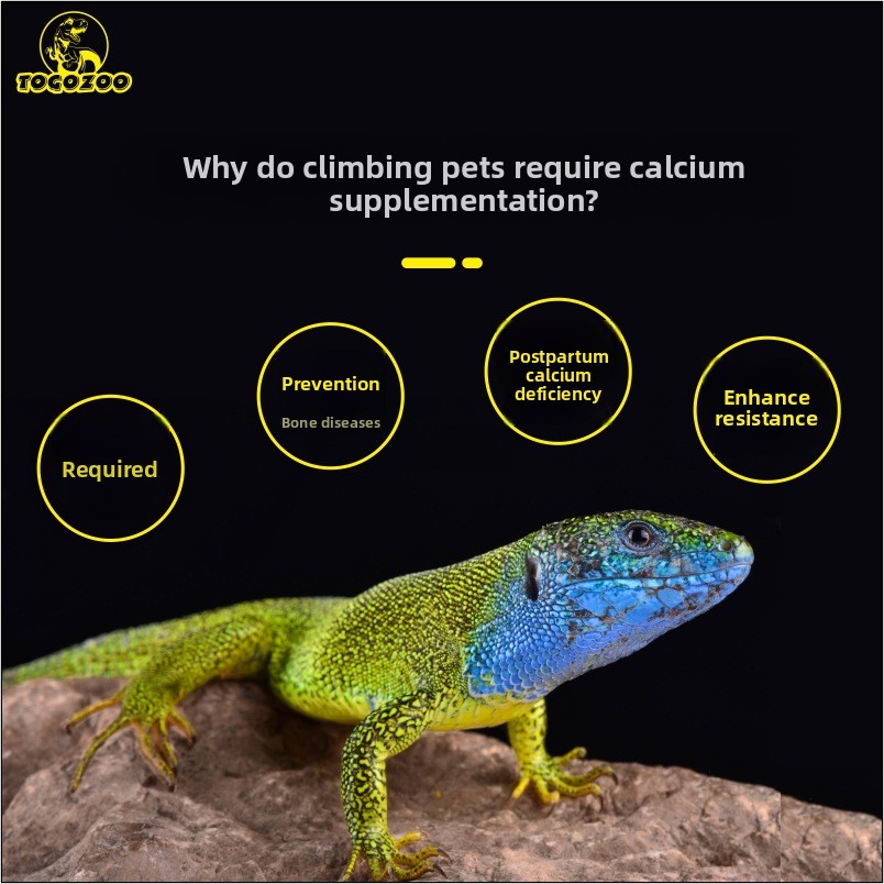 TOGOZOO WILDCAL Reptile Calciu - Calcium Powder Reptile のレビューと価格