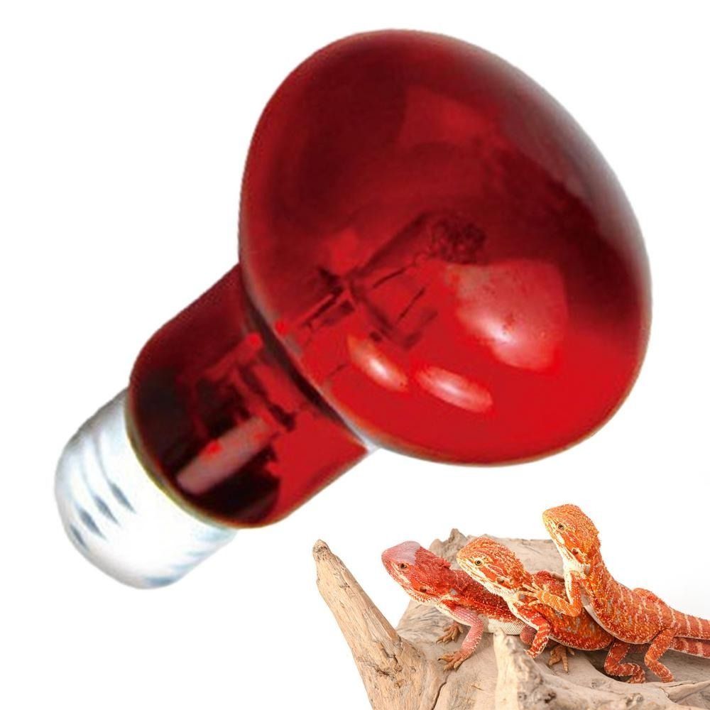 Infrared Led Pet Heating Lamp  - Ceramic Heat Emitter のレビューと価格