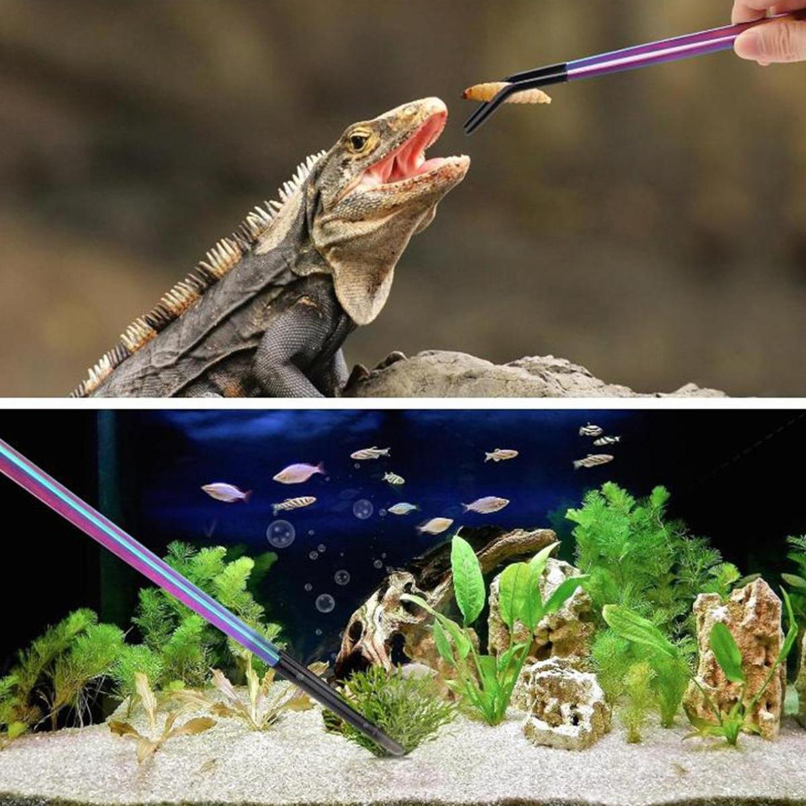 Aquarium Tweezers Reptile Feed - Feeding Tong Stainless のレビューと価格