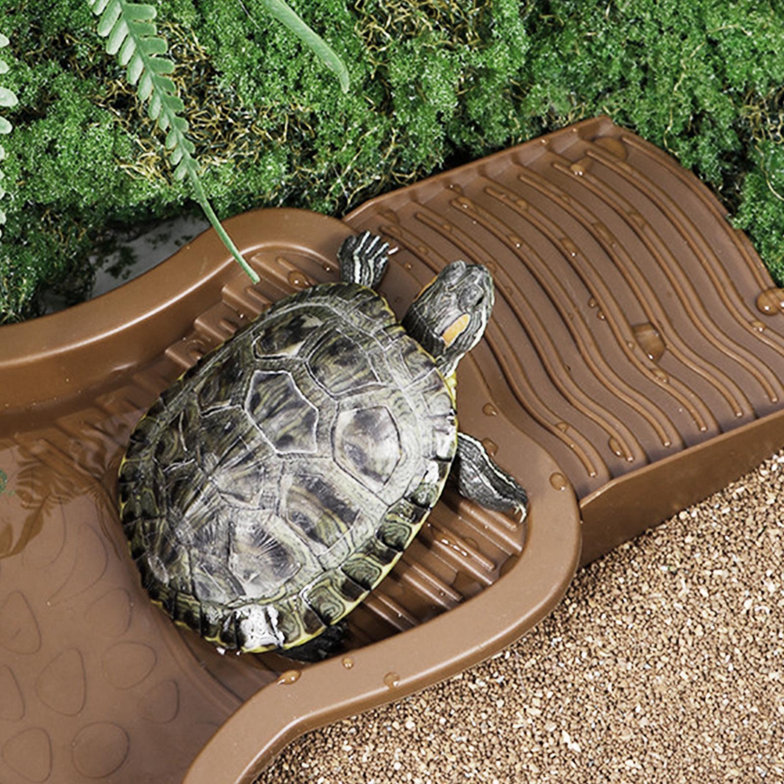 Reptile Bathing Pool with Ramp - Water Dish Reptile のレビューと価格