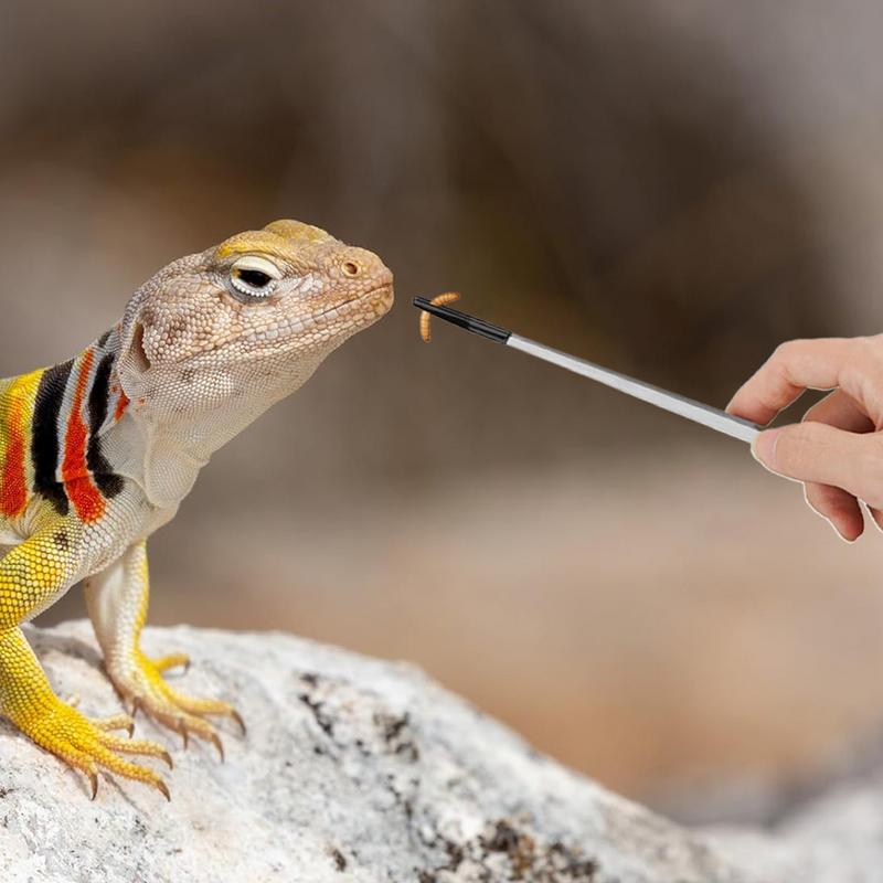 Extra Long Reptile Feeding Ton - Feeding Tong Stainless のレビューと価格