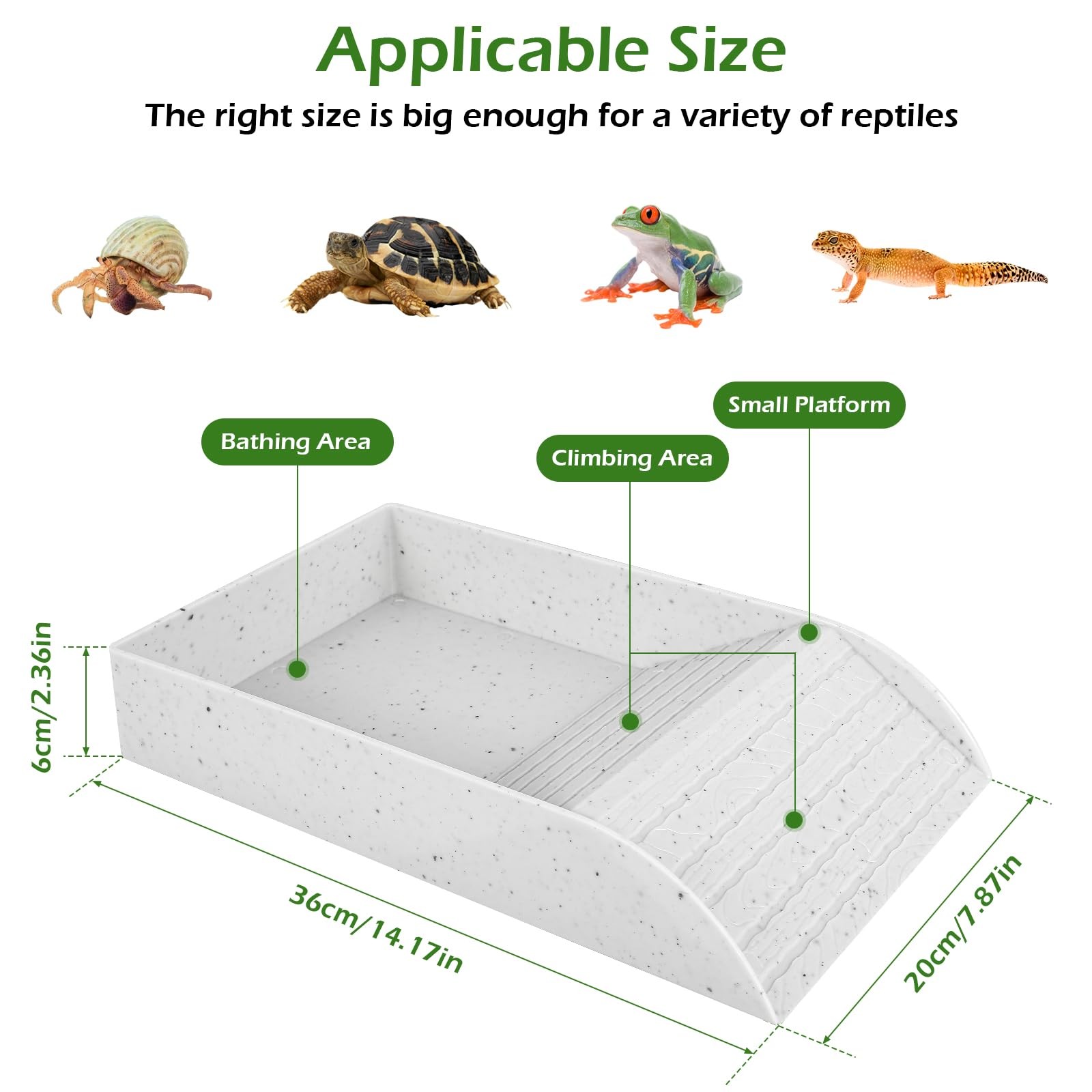 Anti Slip Tortoise Bath Dish T - Water Dish Reptile のレビューと価格
