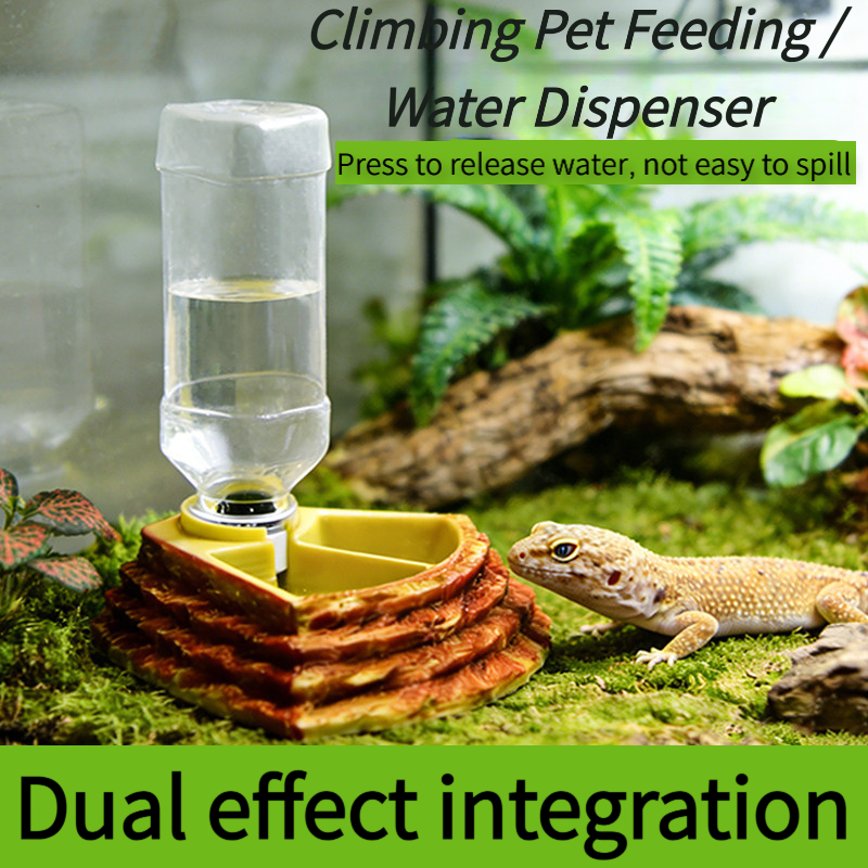 2 in 1 Reptile Water Cup Feede - Water Dish Reptile のレビューと価格