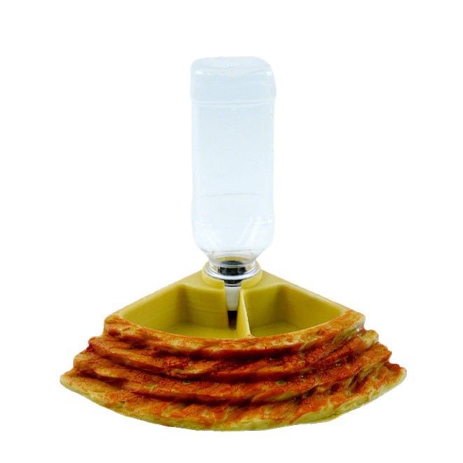 2 in 1 Reptile Water Cup Feede - Water Dish Reptile のレビューと価格