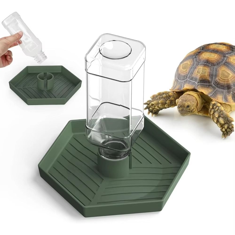 Turtle Food Bowl Anti-slip Rep - Water Dish Reptile のレビューと価格