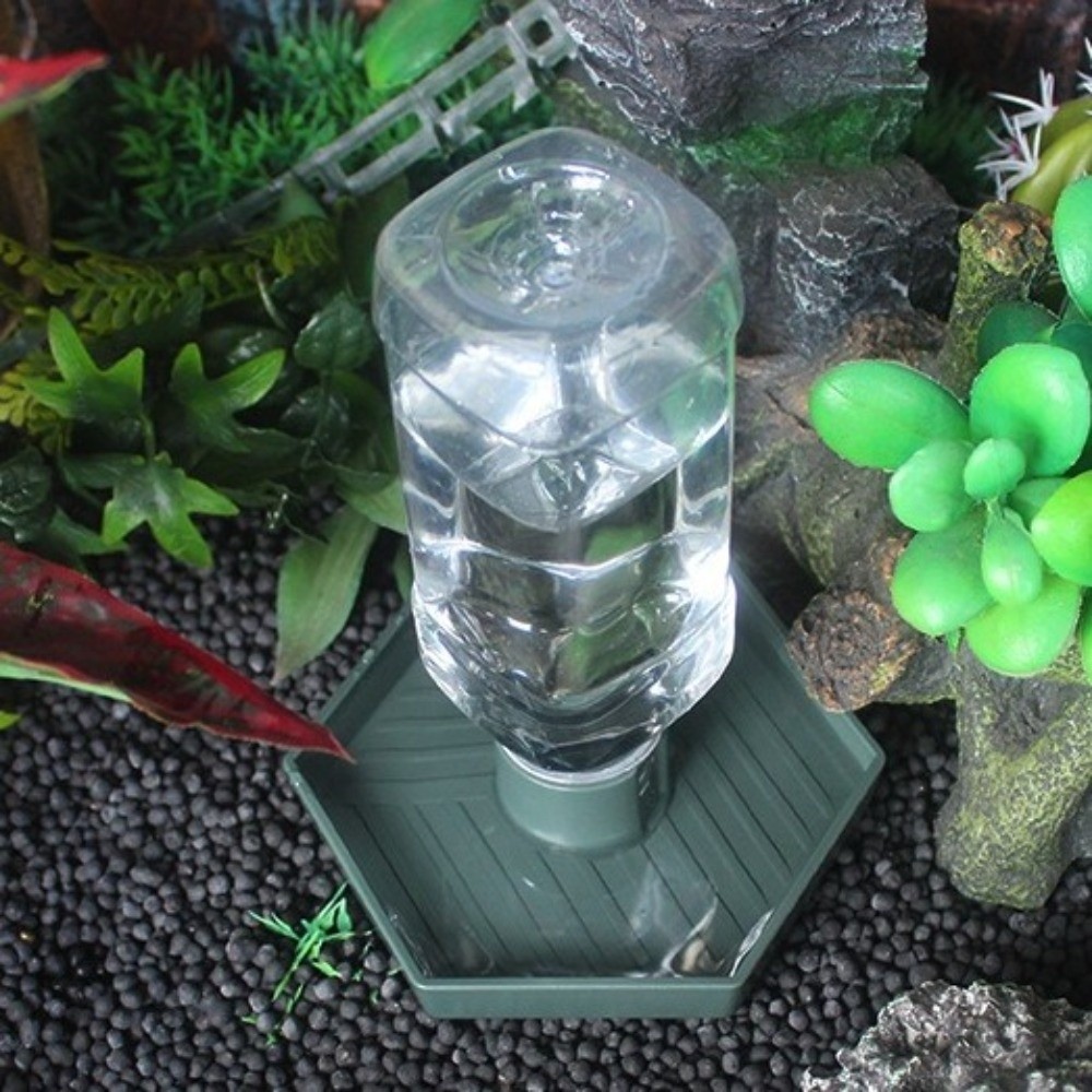 Turtle Food Bowl Anti-slip Rep - Water Dish Reptile のレビューと価格