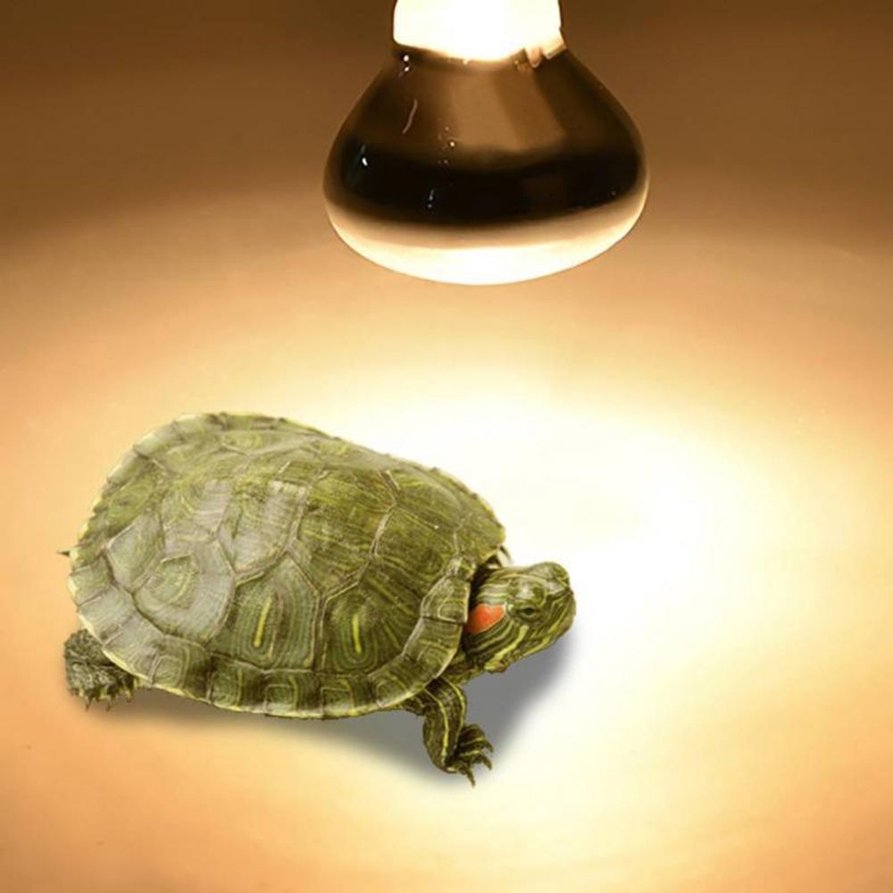 Turtle Temperature Controller  - Basking Bulb Halogen のレビューと価格