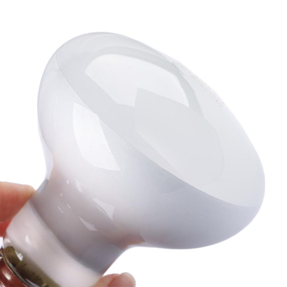 Turtle Heater Temperature Cont - Basking Bulb Halogen のレビューと価格