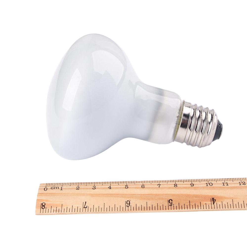 Turtle Heater Temperature Cont - Basking Bulb Halogen のレビューと価格