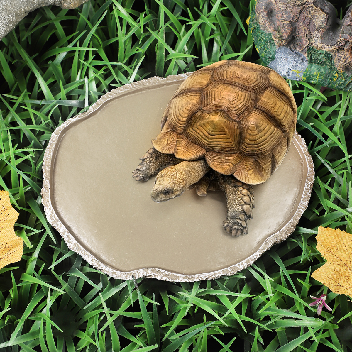 Pets Feeding Plate Reptile Fee - Water Dish Reptile のレビューと価格