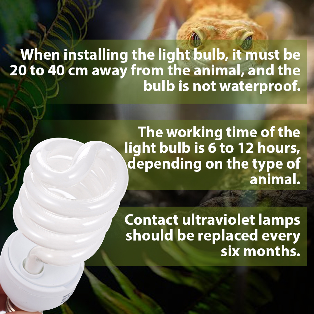 26W Pet Box Lamp Calcium Suppl - Calcium Powder Reptile のレビューと価格