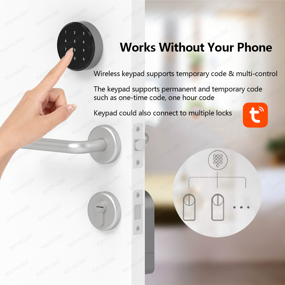 RAYKUBE A1 Pro Tuya BEL Smart  - Glass Door Hinge のレビューと価格