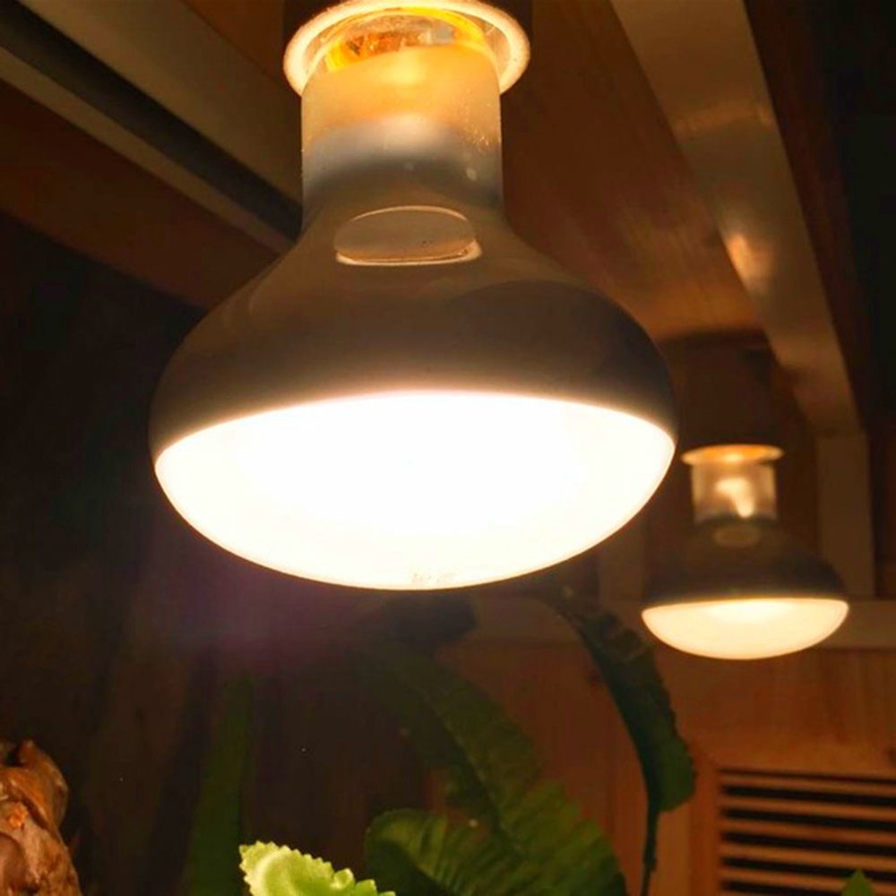 Amphibians Temperature Control - Basking Bulb Halogen のレビューと価格