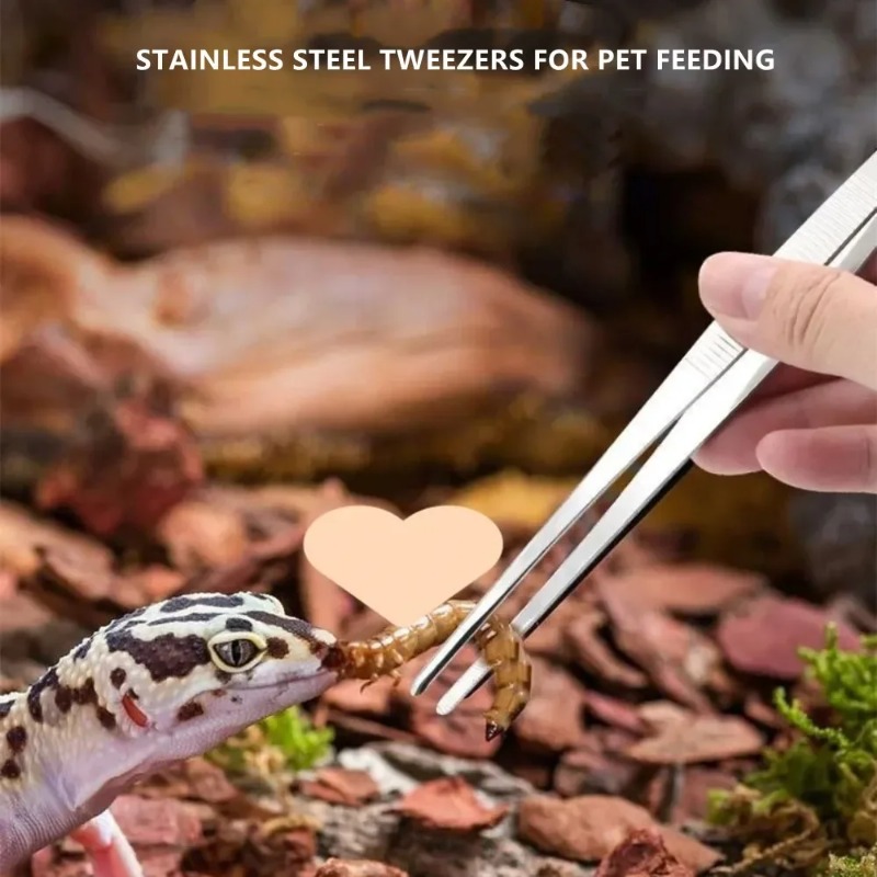 Stainless Multifuctional Steel - Feeding Tong Stainless のレビューと価格