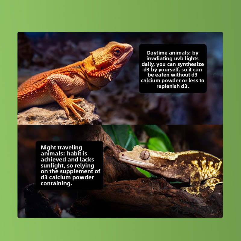 Reptizoo Reptile Calcium Powde - Vitamin D3 Reptile のレビューと価格