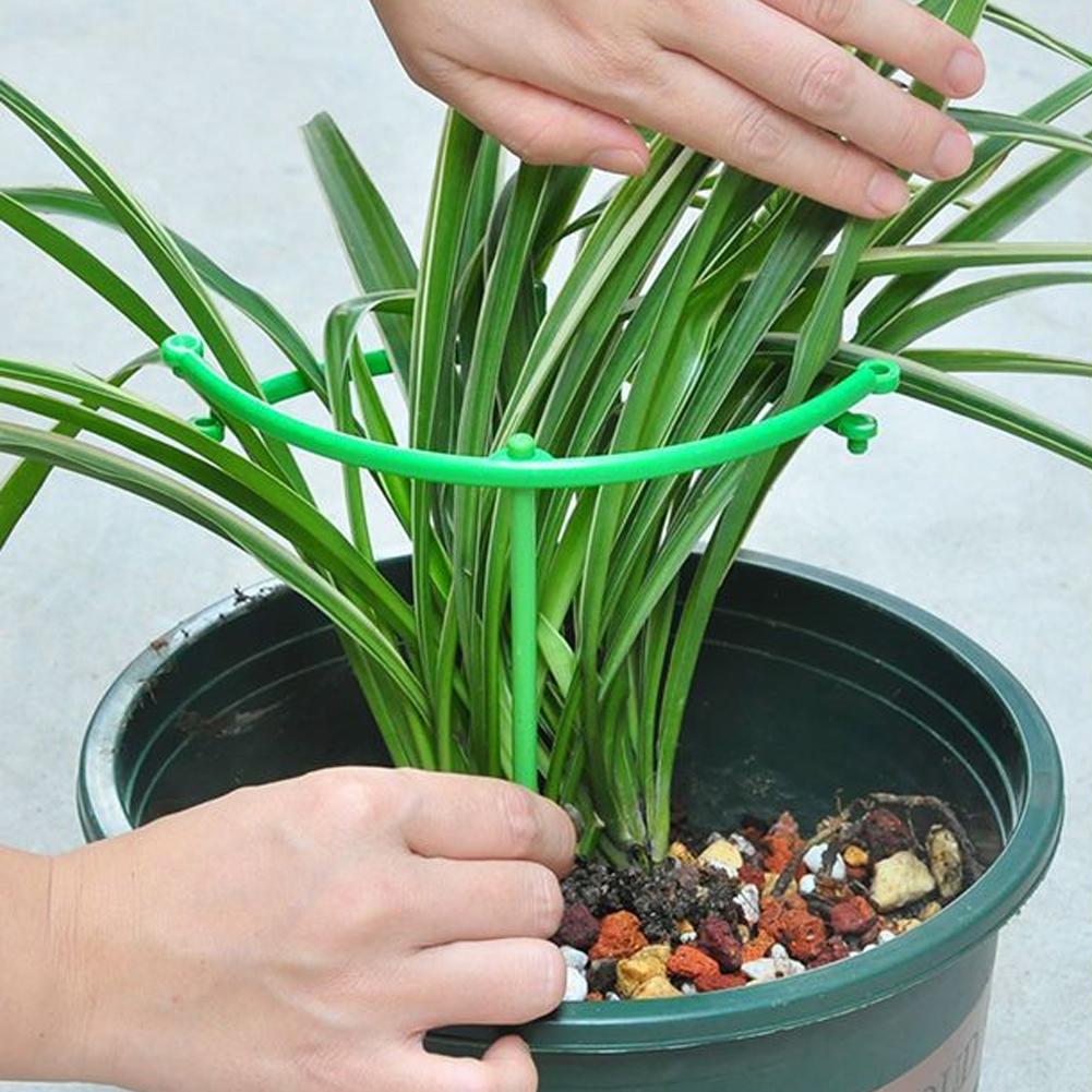 Adjustable Green Checkered Gar - Vine Climbing Plastic のレビューと価格