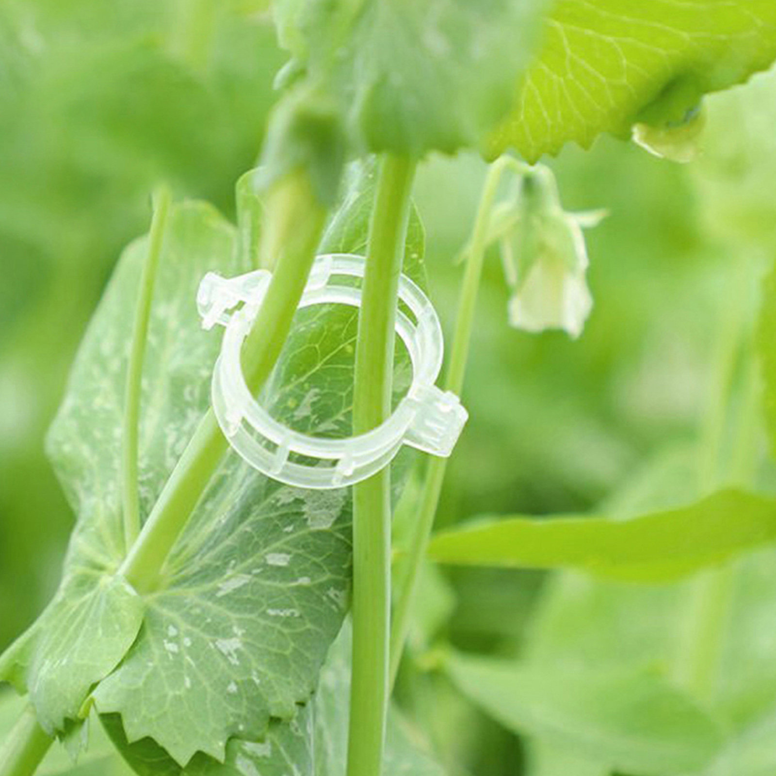 400Pcs Tomato Clips Plastic Ve - Vine Climbing Plastic のレビューと価格