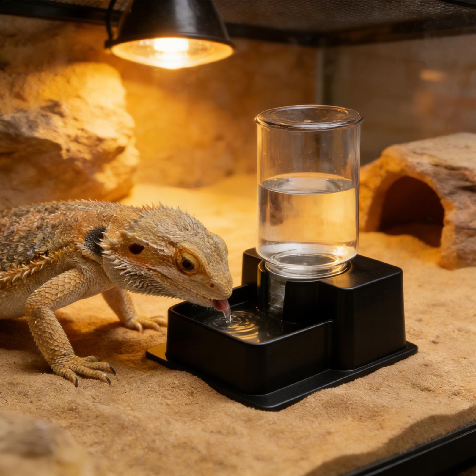 Bearded Dragon Water Fountain  - Water Dish Reptile のレビューと価格