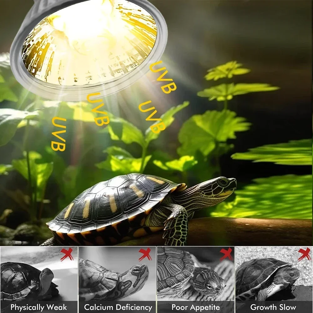 75/50/25W Tortoise Lizard Bask - Calcium Powder Reptile のレビューと価格