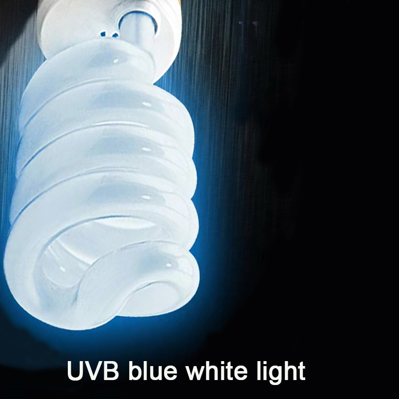 E27 13W/26W Reptile Uvb Lamp   - Calcium Powder Reptile のレビューと価格
