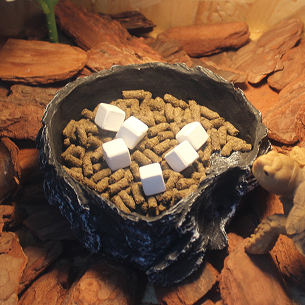 6Pcs Tortoise Tank Calcium Cub - Calcium Powder Reptile のレビューと価格