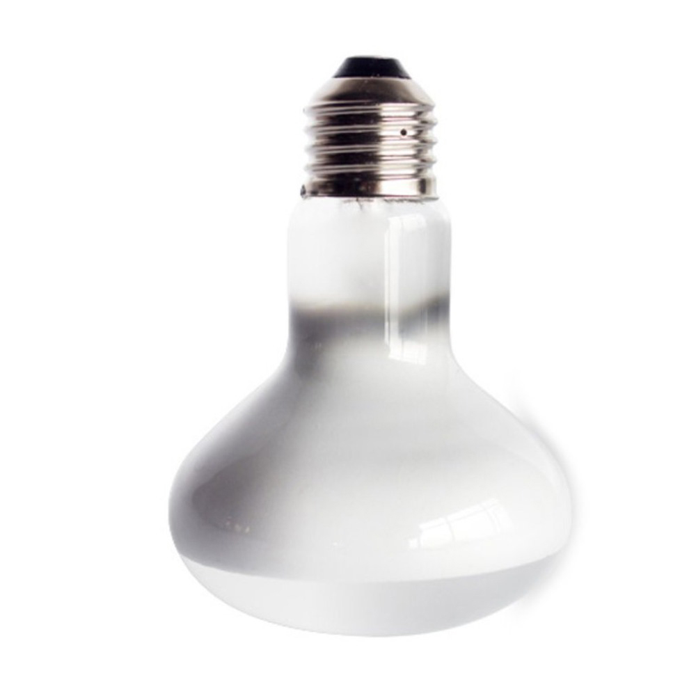 Turtle Temperature Controller  - Basking Bulb Halogen のレビューと価格