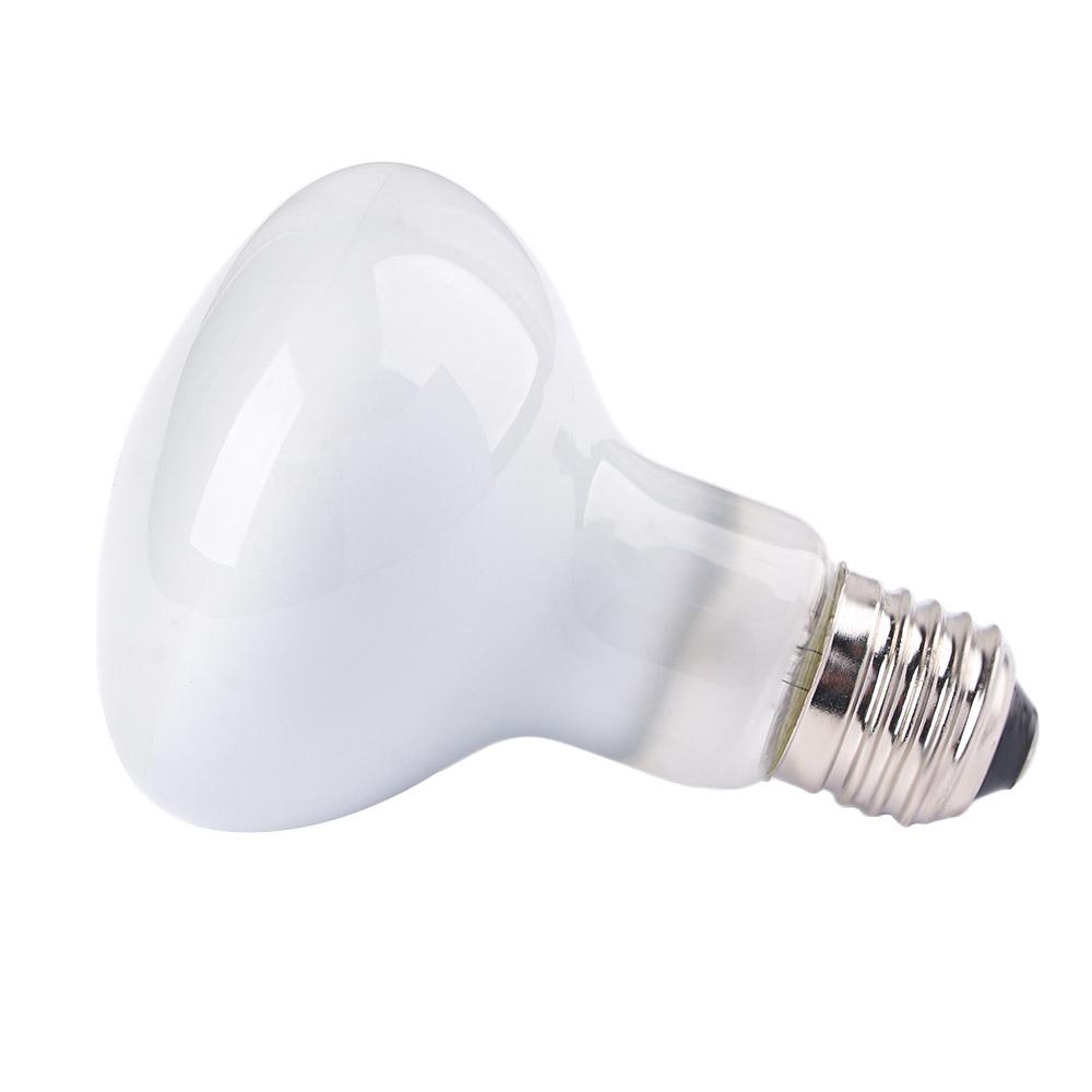 Turtle Temperature Controller  - Basking Bulb Halogen のレビューと価格