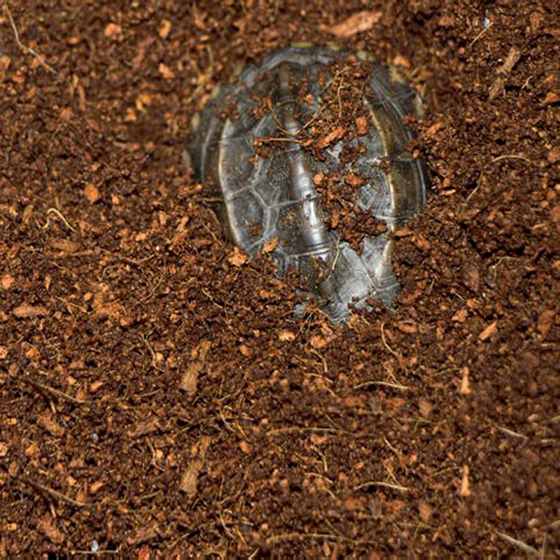 WAJABABY Ready-to-Use Coco Coi - Substrate Coconut Fiber のレビューと価格