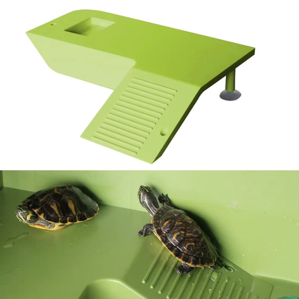 Water Land Slope Box Feeding C - Water Dish Reptile のレビューと価格