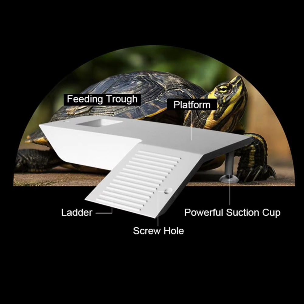 Water Land Slope Box Feeding C - Water Dish Reptile のレビューと価格