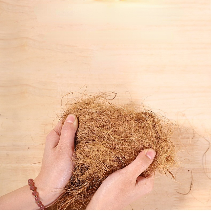 100g Finch Coconut Fiber Loose - Substrate Coconut Fiber のレビューと価格