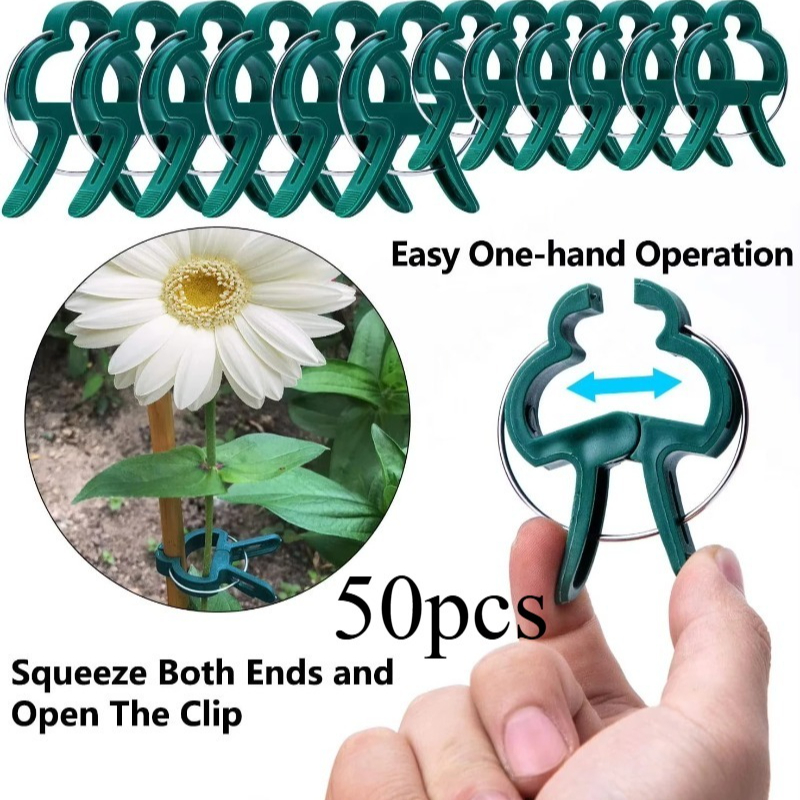 50 Reusable Plant Fixed Clips, - Vine Climbing Plastic のレビューと価格