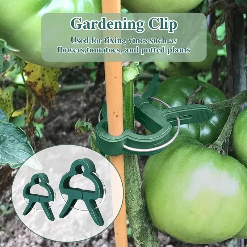 50 Reusable Plant Fixed Clips, - Vine Climbing Plastic のレビューと価格