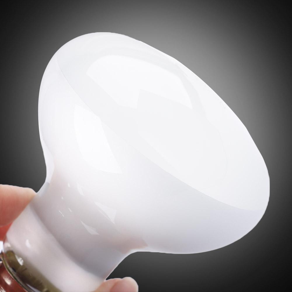 Amphibians Heat Lamp Temperatu - Basking Bulb Halogen のレビューと価格