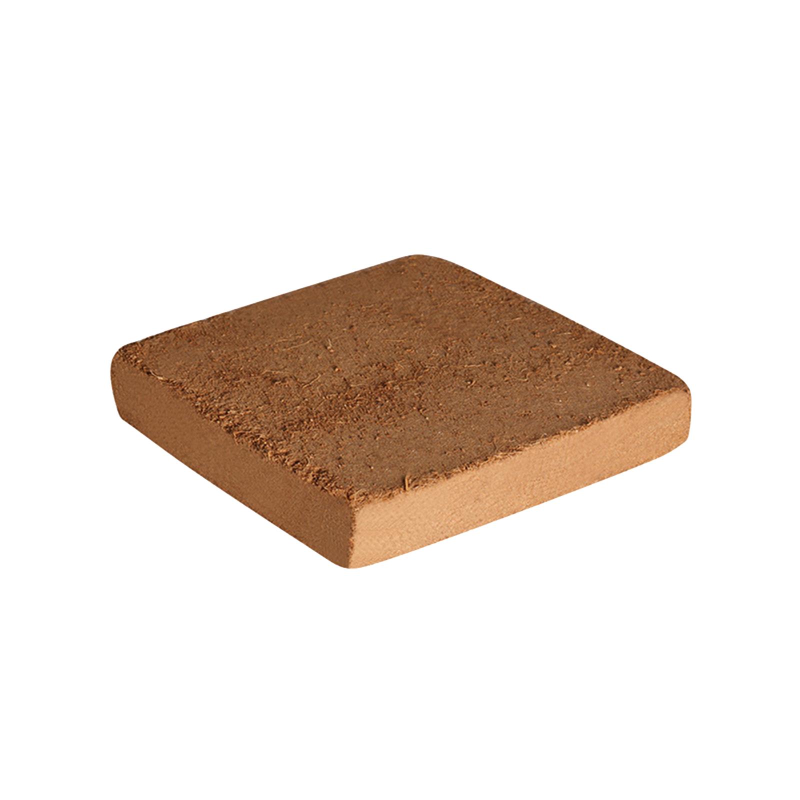 Soil Coconut Fibre Terrarium S - Substrate Coconut Fiber のレビューと価格