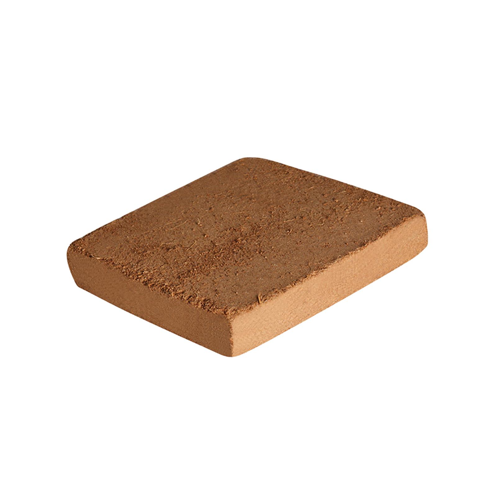 Soil Coconut Fibre Terrarium S - Substrate Coconut Fiber のレビューと価格