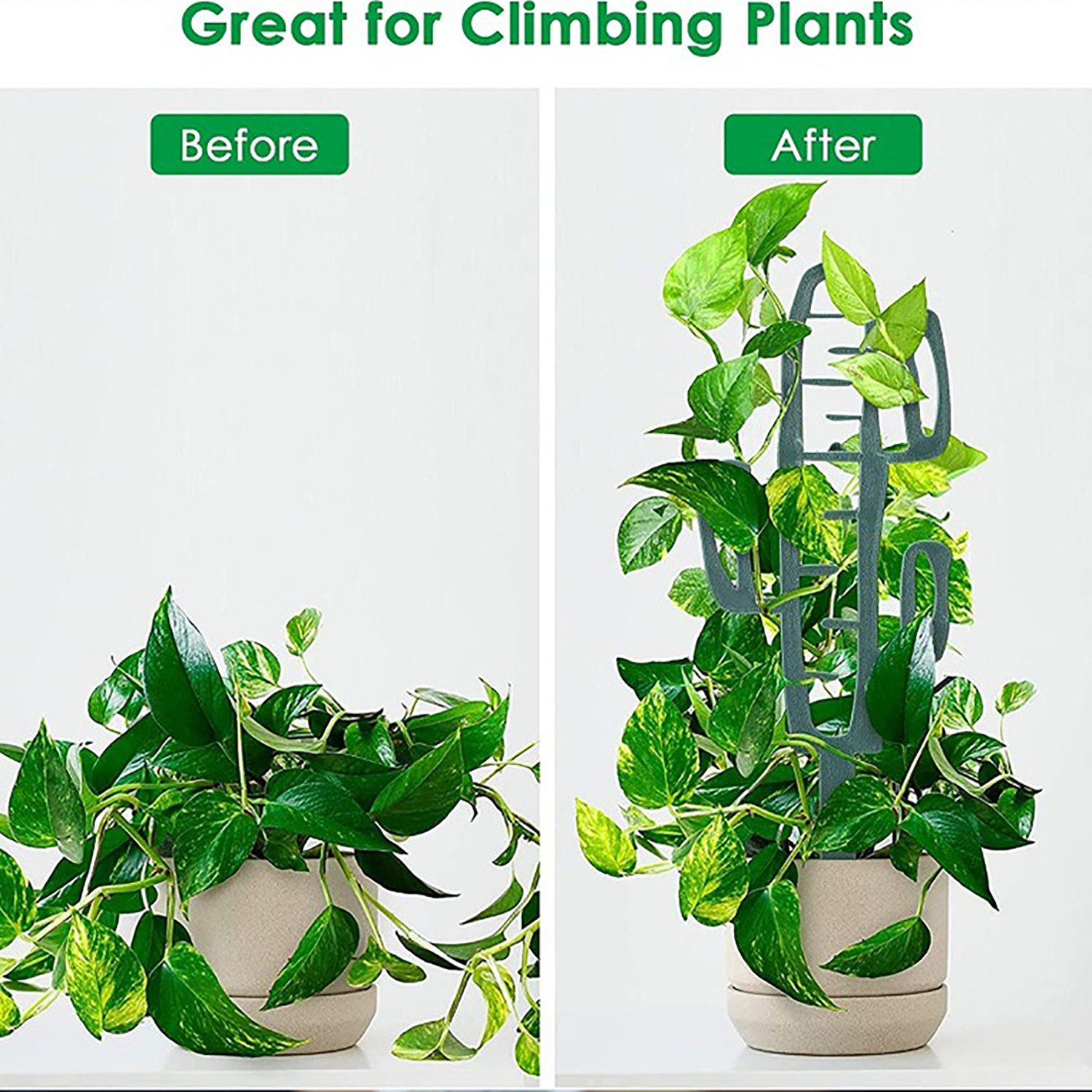 Plant Climbing Support Stand F - Vine Climbing Plastic のレビューと価格