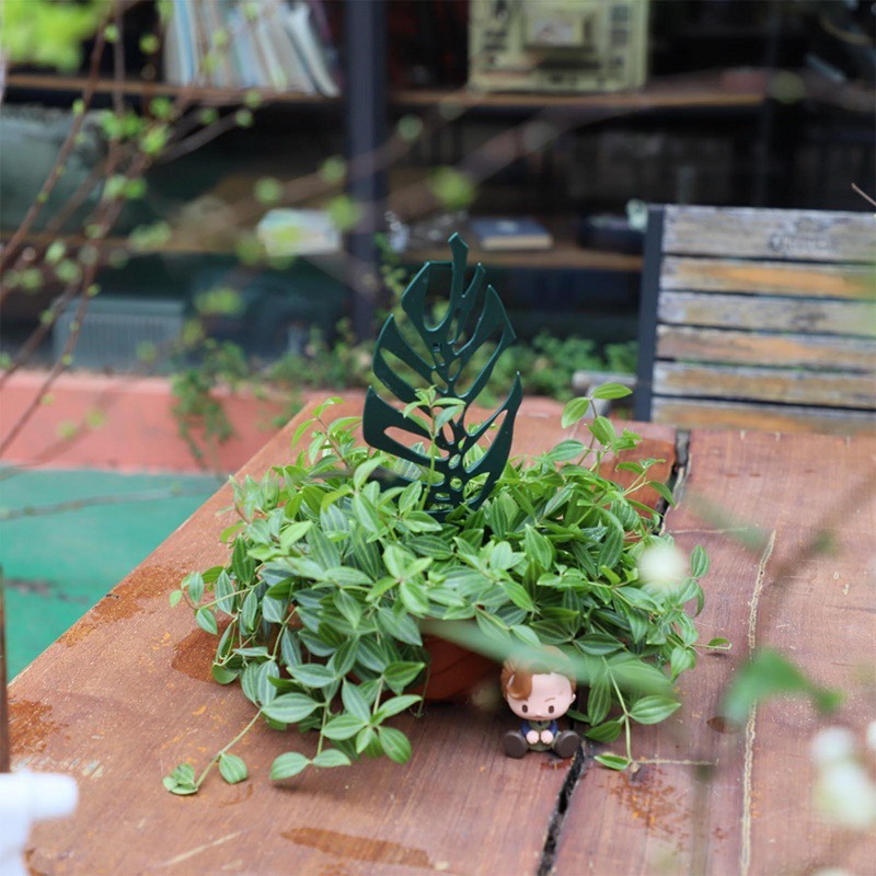 Plant Climbing Support Stand F - Vine Climbing Plastic のレビューと価格